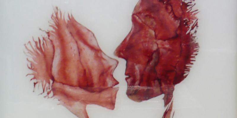 NOVARA – 14° Premio Nazionale d’ Arte città di Novara.