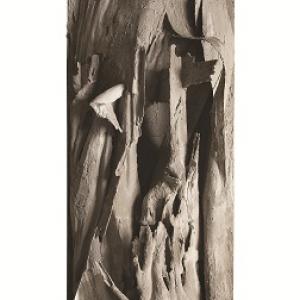 Antonio Bernardo Fraddosio a Lucca Antonio Bernardo Fraddosio a Lucca