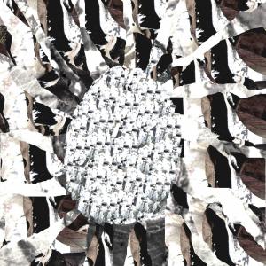 micro & MACRO micro & MACRO