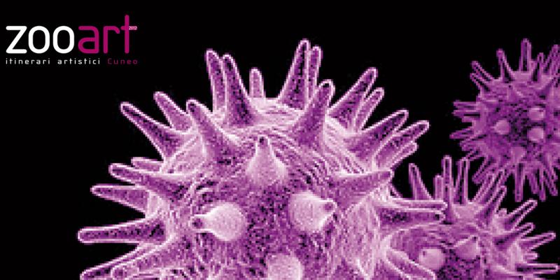 Inaugurazione ZOOart 2012