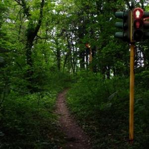 Naturacultura - madre terra