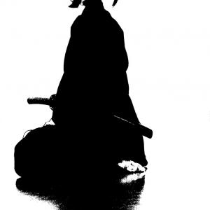 In Medio Stat Virtus