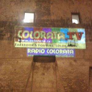 Festival ”GLOBALART International Art” Festival ”GLOBALART International Art”