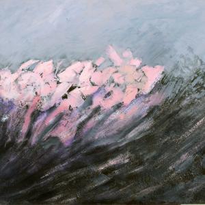 VISIONI NATURALI VISIONI NATURALI