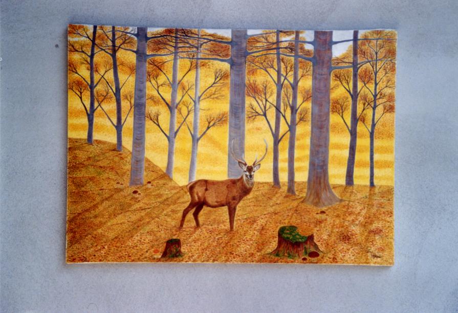 Autunno (cervo nel bosco )     