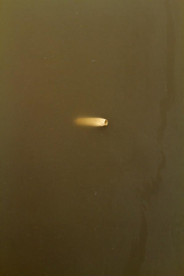 Untitled (Gowanus Canal) Untitled (Gowanus Canal)