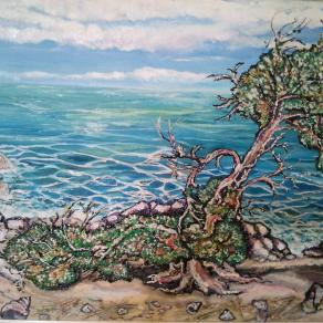 Mare vivo 2 :Il radicamento