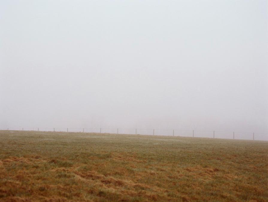 Untitled #14 Untitled #14