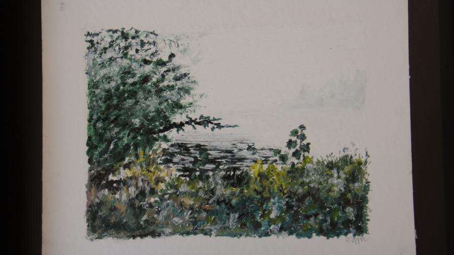 Morgenstunde am Jungfernsee