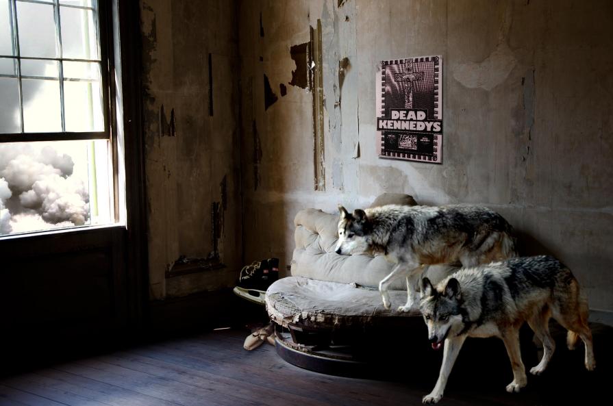 The Wolves - Apartment #1