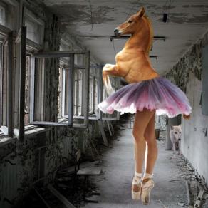 The Dancer - School #7