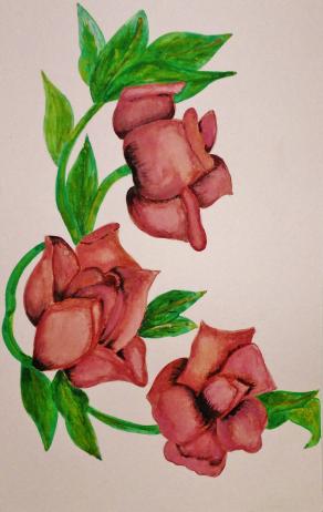 rose di bosco (prova 8)