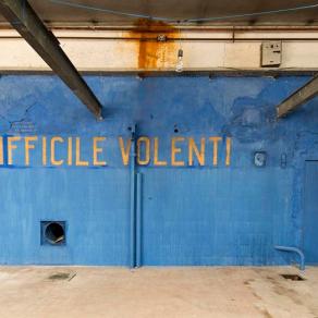 NIHIL DIFFICILE VOLENTI