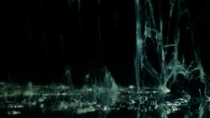 Carlotta Piccinini - ENACTION