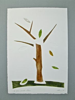 ASSENZE MATERIA DELL'ANIMA - mi piace pensarti albero