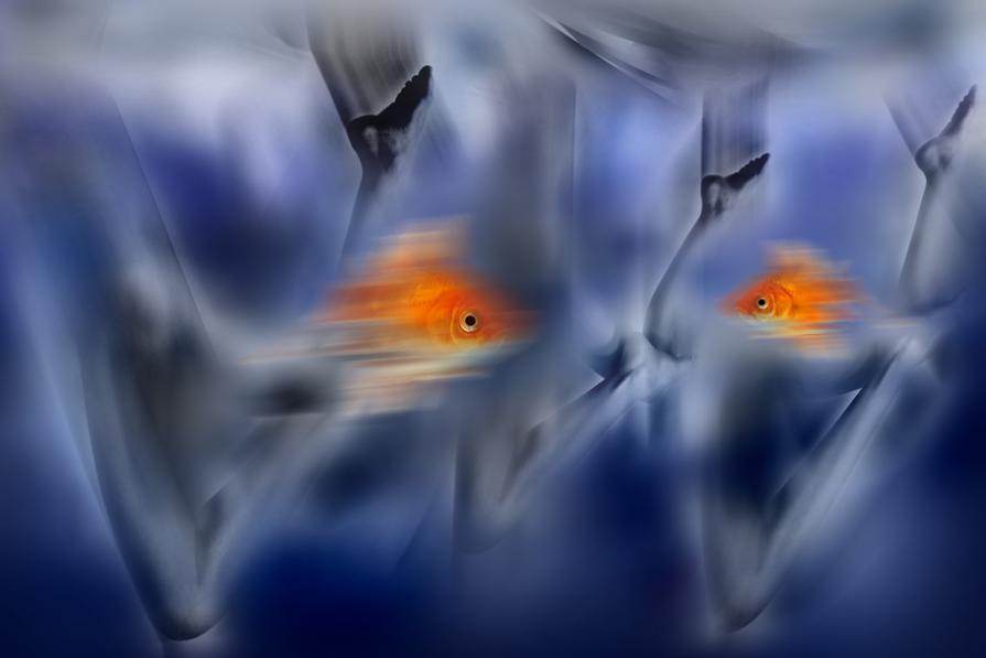 evolution corsa ad ostacoli.