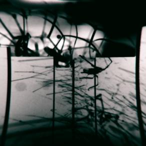 Gli incubi mi aiutano a capire 