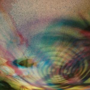 I colori della biodiversità -2015