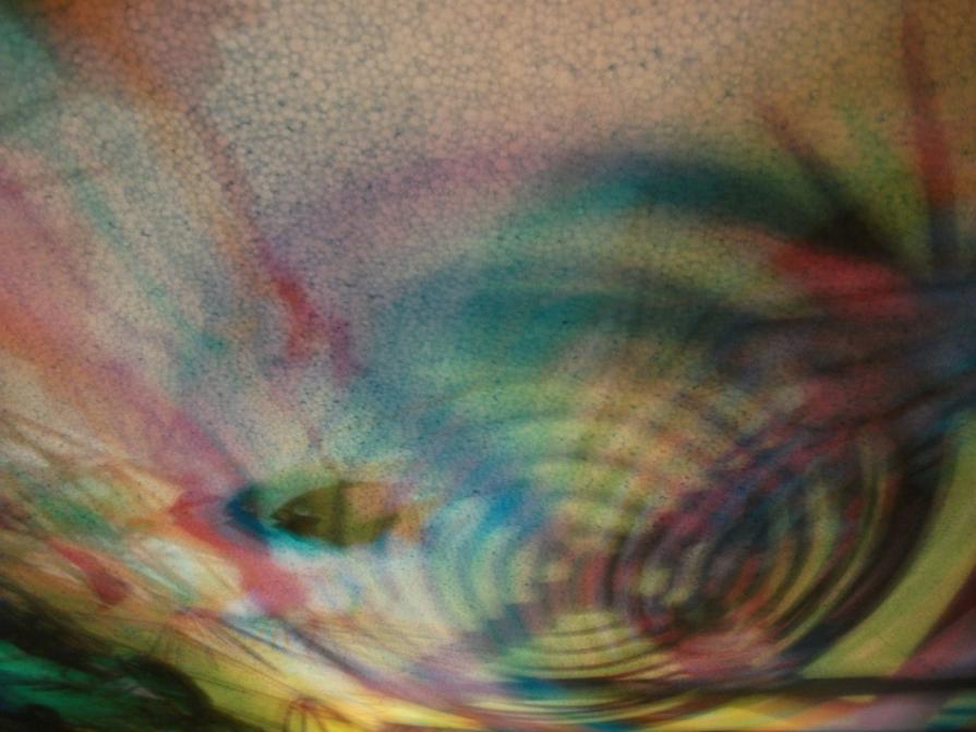 I colori della biodiversità -2015