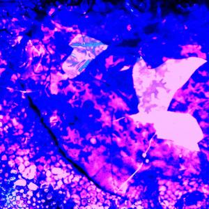 Burnt Slides Layered