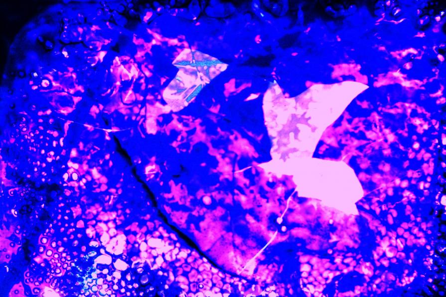 Burnt Slides Layered