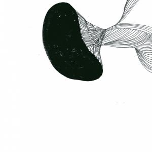 Limes. Le masse Limes. Le masse