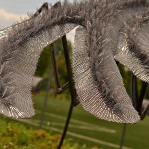 Insomnia - dettaglio