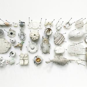 white nest white nest