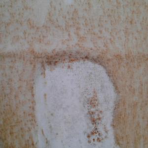 IL VIAGGIO IL VIAGGIO