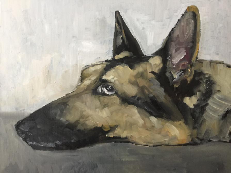 Dog portrait 2018,7/13