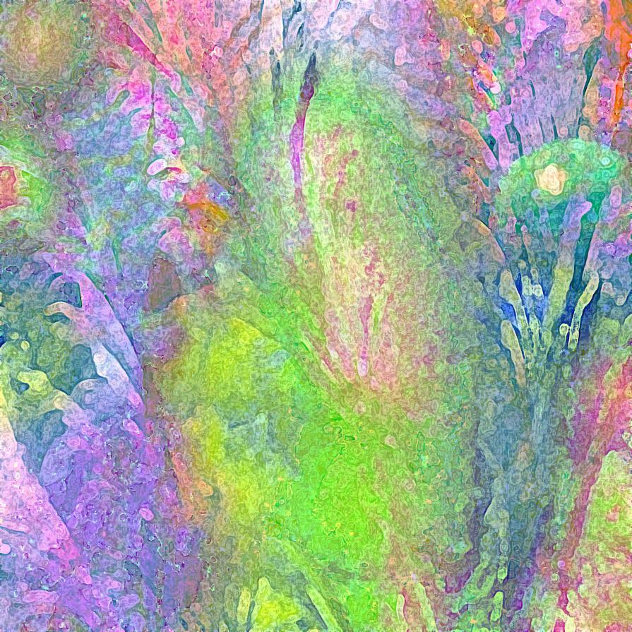 I fiori della primavera sono i sogni dell’inverno raccontati, la mattina, al tavolo degli angeli.