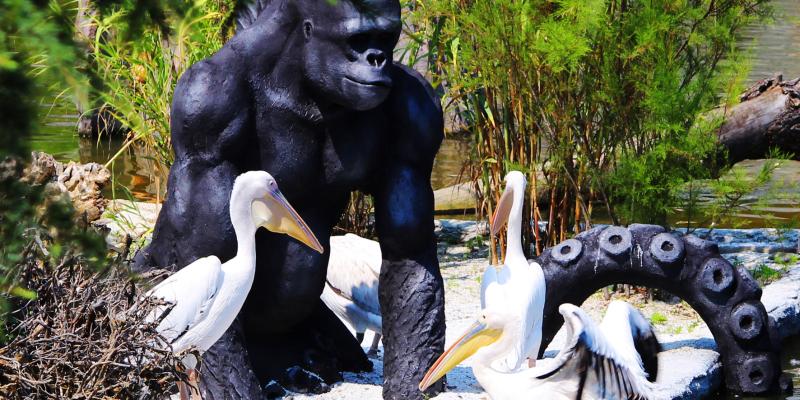 ZOOMaginario: un contest "bestiale"