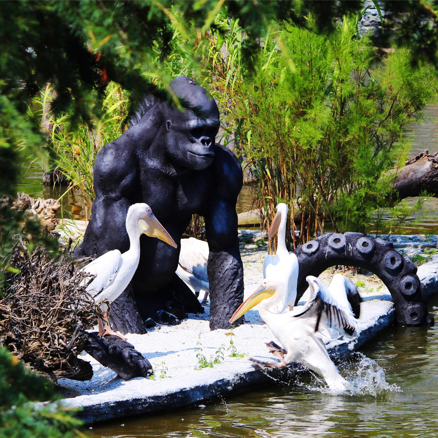 ZOOMaginario: un contest "bestiale"