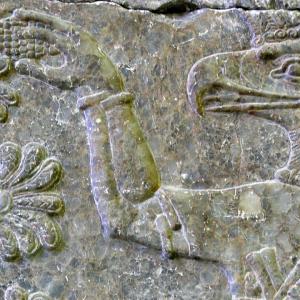 Germania. Berlino. Storie di linee 1