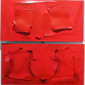 L'ENIGMA DEL COLORE alla grande con Borghi , Fornasari e altri..