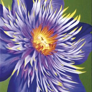 FIORI IN VILLA al CLUB MERIDIANA DI MODENA