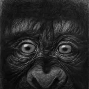 In Contemporanea 2016