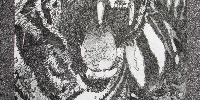 Luana Raia, nuovamente a New York