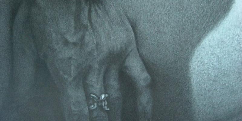 LA MATITA E LE EMOZIONI