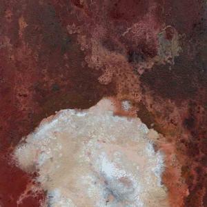 Visioni. Oltre lo sguardo