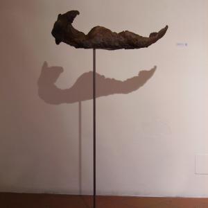 Mostra Personale Galleria del Carbone Ferrara Mostra Personale Galleria del Carbone Ferrara