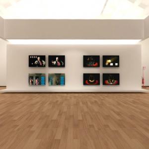 Max Coppeta / Visioni Transitorie - works 2001 / 2012 Max Coppeta / Visioni Transitorie - works 2001 / 2012