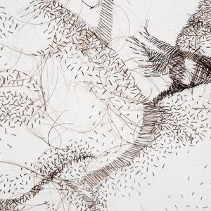 I Love You, Man: I Think This is the Beginning of a Beautiful Friendship