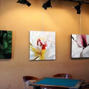 FIORI IN VILLA al CLUB MERIDIANA DI MODENA