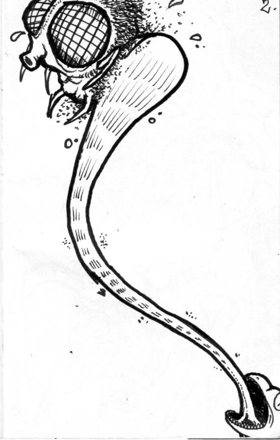 ZEDSKETCH_11 - slurp!