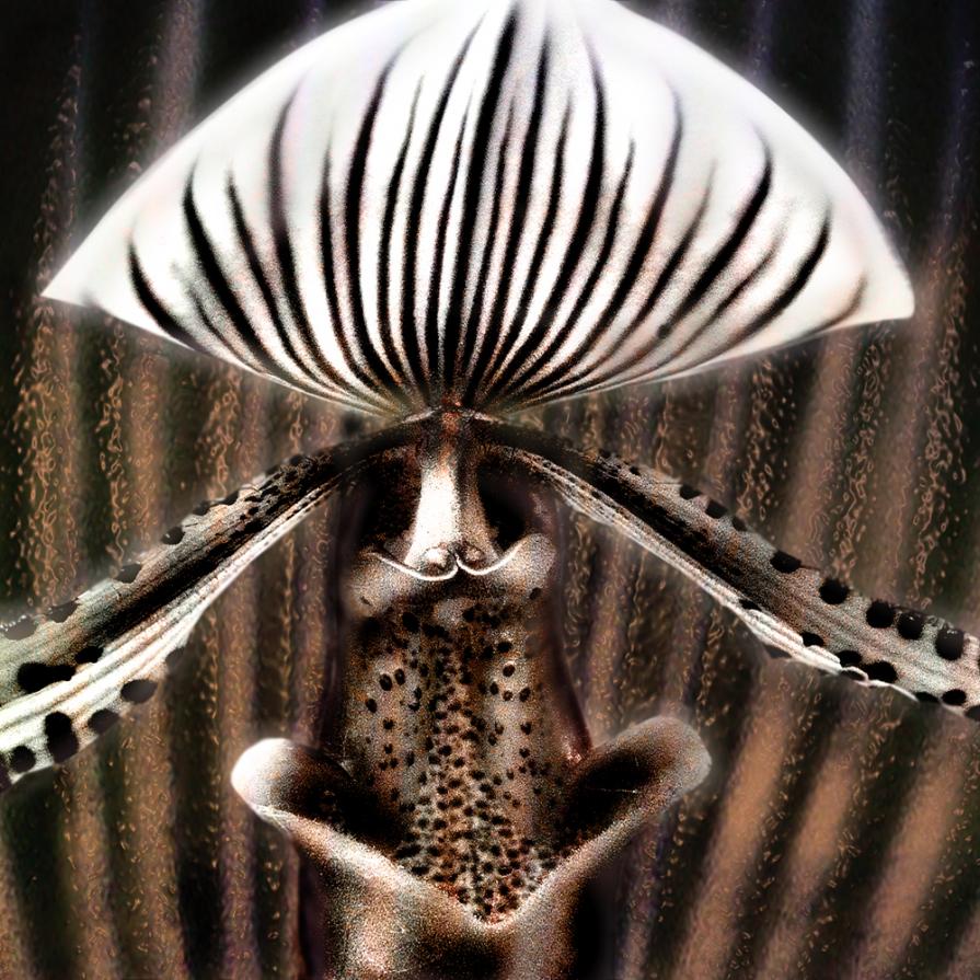 Astrattismo Naturale