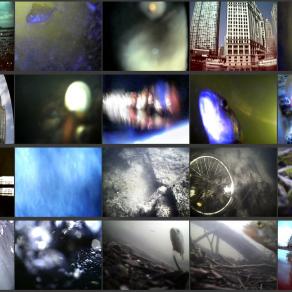 Riverine Zones Connected (Water - Video - Installation)