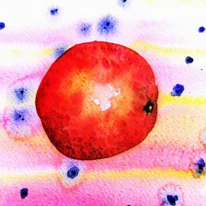 ARANCIA CADUTA dall' ASTRONAVE