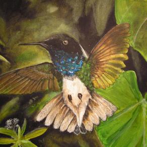 Hummingbird