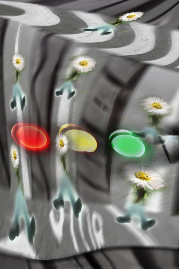 al passaggio pedonale in viale piave95 ,ho visto sulle strisce pedonali??????